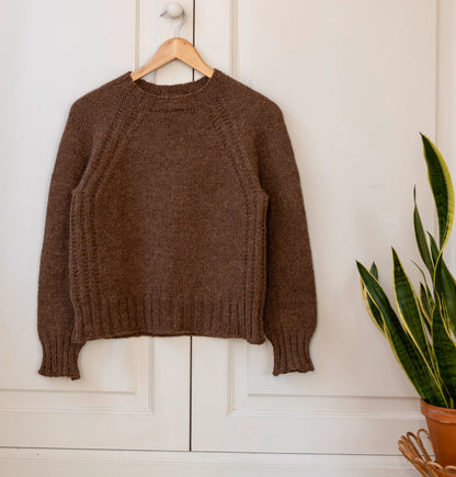 Brown sweater on a hanger against a white wall with a plant to the right.